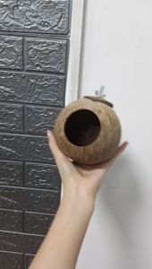 บ้านกะลา บ้านนกหงษ์หยก รังนกหงษ์หยก บ้านนก รังนก ที่นอนชูการ์ บ้านกระรอก