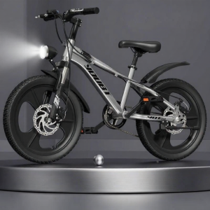 Adjustable Speed Mountain Bike 22 inch