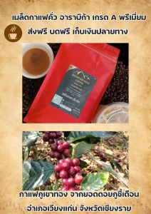 คั่วเข้ม เกรดA พรีเมี่ยม ดาร์กช็อกโกแลต