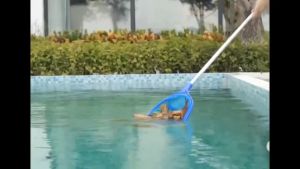 Swimming Pool Skimmer Net Set: A Comprehensive Guide