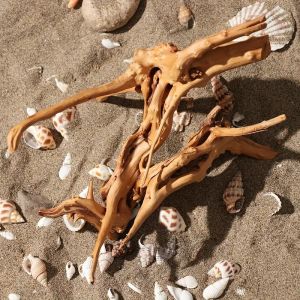 7-26CM 4 Sizes Driftwood Cuckoo Roots Dead-wood Tree Trunk Landscape Creative Reptile Cylinder Fish Tank Ornament Aquarium Decor