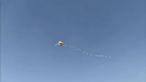 Besra Colorful Parafoil Kite with Long Tail Easy to Fly Outdoor Fun Sports for Kids & Adults