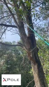 XPOLE Multipurpose Carbon Fibre Pole 4 meter Telescopic (Green)