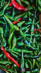 Kaos Jersey Sayuran Cabai Hijau & Baju Polo Motif Sayur