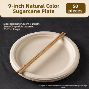 Eco-Friendly Disposable Tableware