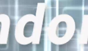 Brandon Super Food Prep Gloves - 500 Piece Plastic Food Safe Gloves Food Handling One Size Fits Most 500 PCS