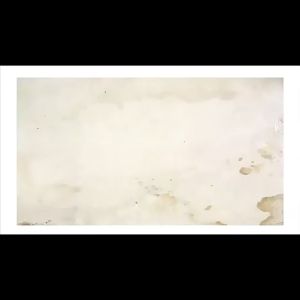 Everlast Gym Standing Punching Bag Kicking Target for Boxing and MMA