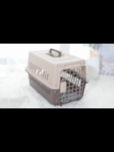 Pet Travel Cage Airline Approved Dog Cat Outdoor Carrier Small Animal Air Box Dog cage Cat cage Car Transport Crate Large Standard Size High Quality