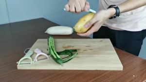 Vegetable Slicer Fruit Cutter Stainless Steel