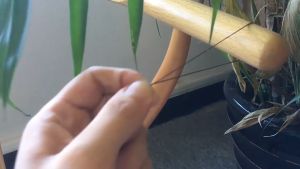 Cước thun chỉ tơ màu trắng co giãn đàn hồi xỏ vòng tay phong thủy vòng đá diy trang sức phụ kiện làm thủ công handmade DIY