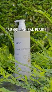 Dầu gội Jane Natural Plants 350ml