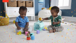 Fisher-Price Fp Pets Sort & Stow Pet Carrier Baby & Toddler Shape Sorting Toy 8 Blocks