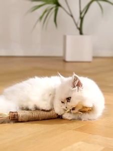 Cat Toys Oversized Catnip Stick 38cm For Cats Teeth Cleaning Chew Natural Silvervine Molar Stick