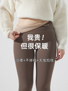 plus Size Fleece Lined Shark Skin Yoga Pants Womens Autumn Winter Thickened Camel Hair Tight Warm plus Size Yoga Pants