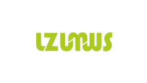 LZUMWS 61W/67W Charger laptop adapter 20V 3A USB C for Mac Book Pro13/Air A1706 A1708 A1718 for Switch for Mac Book 12" for ADP-230EB T A17-230P1A for Google Chromebook for i Pad Pro 11
