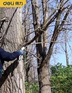 Gergaji Lipat & Hand Saw Super Tajam: Pemilihan dan Penggunaan