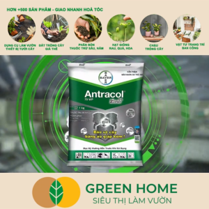 Chế Phẩm Trừ Bệnh Antracol 70WP GreenHome Gói 100gr Phòng Ngừa Nấm Bệnh Phổ Rộng Cho Cây Trồng