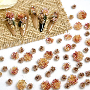 Phụ Kiện Trang Trí Móng Tay Bằng Nhựa Hình Hoa Mẫu Đơn Hồng Trong Suốt Màu Maillard Phát Sáng Dùng Làm Hoa Trang Trí Tự Làm Cho Khuyên Tai Và Móng Tay