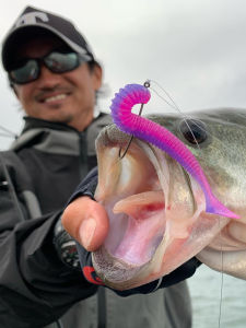 Original OSP Lure Soft Bait Fine HP Shadtail 3.6 Inch T Tail Soft Fish Lure for Fishing in Reservoir Ponds Streams Rivers Lakes