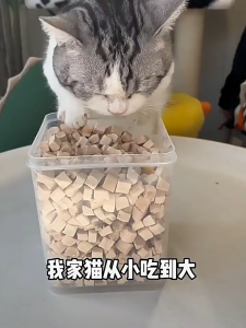 Đồ ăn vặt cho mèo đông khô gà viên ức gà chim cút cá xuân má dinh dưỡng trứng mèo thức ăn cho mèo đồ ăn vặt cho mèo