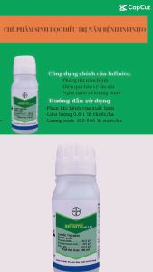 Infinito 100ml - Giải pháp tối ưu trong phòng trừ bệnh mốc sương cho cây trồng