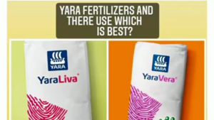 Yara Liva Nitrabor (Calcium Nitrate with Boron) 1kg