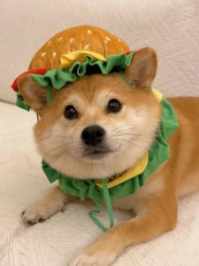 Pet Dog Burger Headwear Cartoon Cute Funny Costume Cat Hat Individual Personality Clothing Props Universal Pet Accessories
