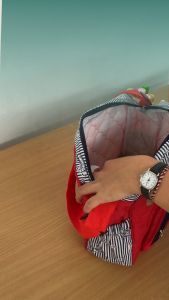 Tas Bayi Selempang Medium Multifungsi Bordir