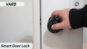 Door Lock Smart Door Lock TUYA Bluetooth APP Smart Lock With Password Mechanical Key Unlocking Smart Life