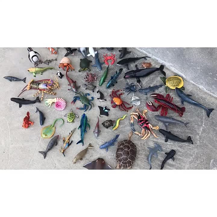 Simulation Marine Fish Prehistoric Animal Ancient Marine Life Deep Sea