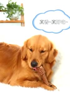 Dog Dental Chew Bone Toys for Dogs Pet Molar Bone Toy Oral Hygiene Dog Snacks Dog Treats