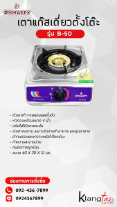 เตาเดี่ยว DYNASTY D-801 หัวทองเหลืองแท้ สแตนเลสทั้งตัว