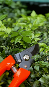 IRON BULL 7" Japan Grade Garden Pruning Shear Grass Leaves Flower Tree Plant Cutter Scissor Trimmer Gunting Rumput Bunga