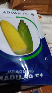 PROMO TERLARIS ADVANTA ??? Benih Jagung Manis Madu 59 F1 250 Gram 0RIGINAL\Kemasan Pabrik