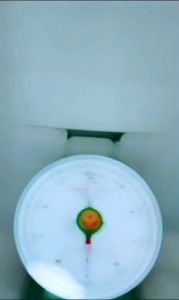RENKMHE 100 Kg - 150 Kg Electronic Spring Dial Scale Timbangan Manual Jarum Duduk Besi Plat Datar Rata Timbangan Meja Hijau Ayam Daging Barang Makanan 100kg - 150kg