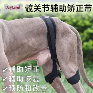 Pet Hip Joint Assistance Orthotics Band Dog Hind Leg Joint Belt Protective Gear Recovery Orthotics Band Pet Dog Leg Recovery