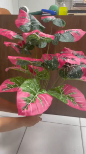 VS Artificial Plants Alocasia Macrorrhiza Pink Fake Flowers Landscaping Decoration Home Floor Plants(without pot)