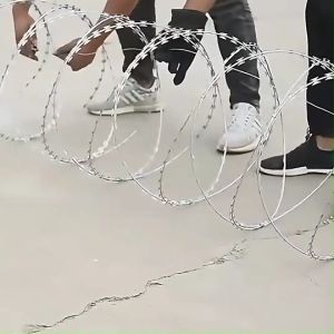 ลวดหนามหีบเพลง สีเขียว รุ่น BTO-22 50cm x 10m เส้นผ่านศูนย์กลาง