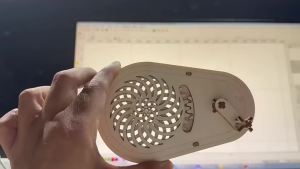 Interactive STEM Education Kit DIY Wooden Optical Illusion Spinner for Science Class Projects