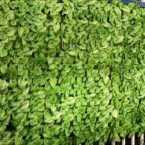 Artificial green plants for privacy screen Steamed rolls wall to wall fence balcony roof decoration