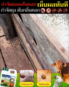 บุญลือ น้ำยาไล่แมลง น้ำยาไล่ยุง สเปรย์ไล่ยุง ดูแลวัว ควาย ขนาด 1 ลิตร ไล่แมลงวัน ไล่ริ้นไร ใช้ดีรีวิวเพียบบบบบบ