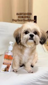 500ml Saint Roche Grooming Supplies Premium Dog Conditioner Dog Cat Dogs Cats