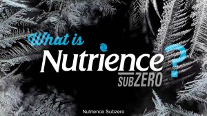 Thức ăn hạt nhỏ cho chó Nutrience Subzero Grain-free Fraser Valley - gà tây cá hồi cá trích cá tuyết và rau củ trái cây tự nhiên