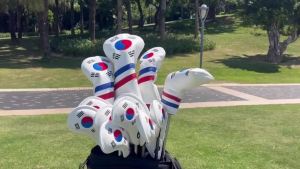 Golf đầu bao gồm Hàn Quốc lòng yêu nước Golf đầu bao gồm cho golf sắt điều khiển Fairway lai lưỡi Putter liên kết thanh
