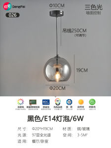 Modern Designer Luxury Small Pendant Light Bronze Bedside Restaurant Bar Counter Fish Line Lamp Glass Shade Postmodern Style