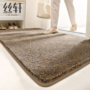 Modern Simple Style Entrance Mat Indoor Outdoor Door Mat Dirt Resistant Dust Removal Entrance Rug Anti Slip Hall Foot Pad