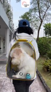 Tas Astronot Untuk Kucing | Tas Kucing Gendong Belakang | Tas Ransel Hewan Atau Travel Bag Nyaman dan Anti Air Cat Bag Pet Bag Pet Carrier Bisa Dilipat Tas Ransel Hewan Atau Travel Bag | (Bergaransi) Tas Astronot Kucing Anjing 100% ORIGINAL