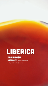 Cà Phê Mít Liberica Khe Sanh Quảng Trị - Father Coffee 250gr