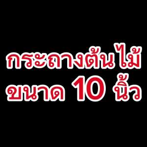 กระถางดํา 10 นิ้ว กระถางต้นไม้พลาสติก กระถางกระบองเพชร กระถางแคคตัส