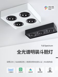 Ultra-Thin Surface-Mounted LED Spotlight Double-Headed Living Room Bedroom Corridor Lighting COB No Ceiling Mounted Lamp